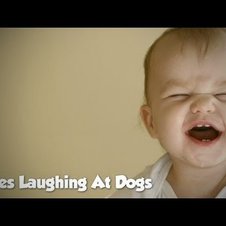 Wenn Hunde Babys zum Lachen bringen