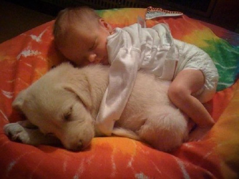 Baby und Hund schlafen