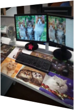 Schreibtisch vom Katzenfan