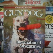 Hundemagazin zeigt auf Cover fragwürdiges Hundespielzeug