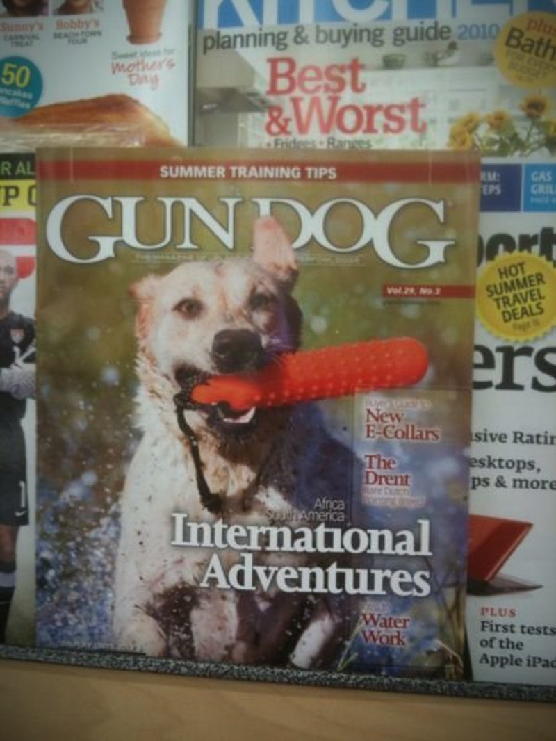 Hundemagazin zeigt auf Cover fragwürdiges Hundespielzeug