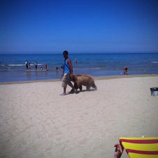 Mann spaziert mit Bär am Strand entlang