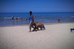 Mann spaziert mit Bär am Strand entlang