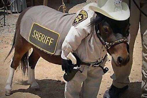 So sieht der neue Sheriff aus