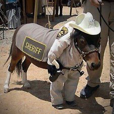 So sieht der neue Sheriff aus