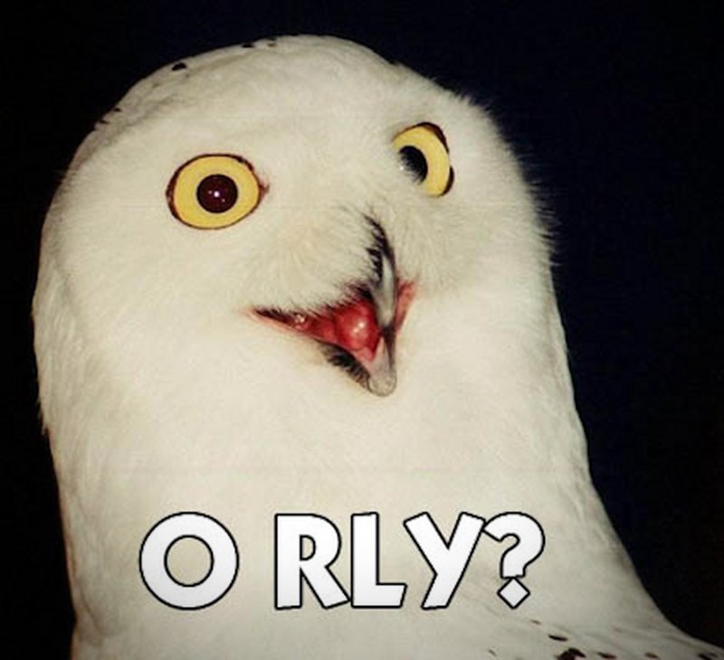 O RLY OWL – Oh Wirklich?