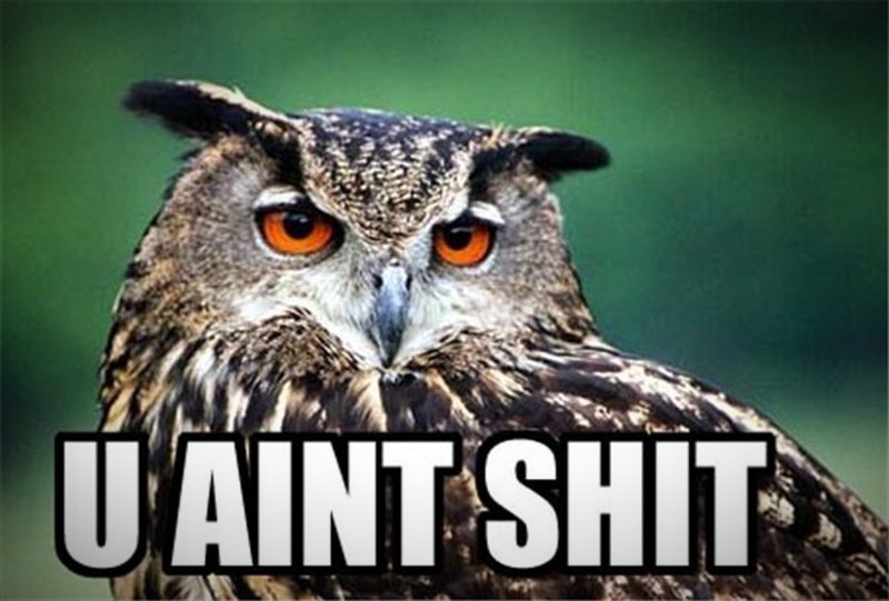 You Aint Shit Owl