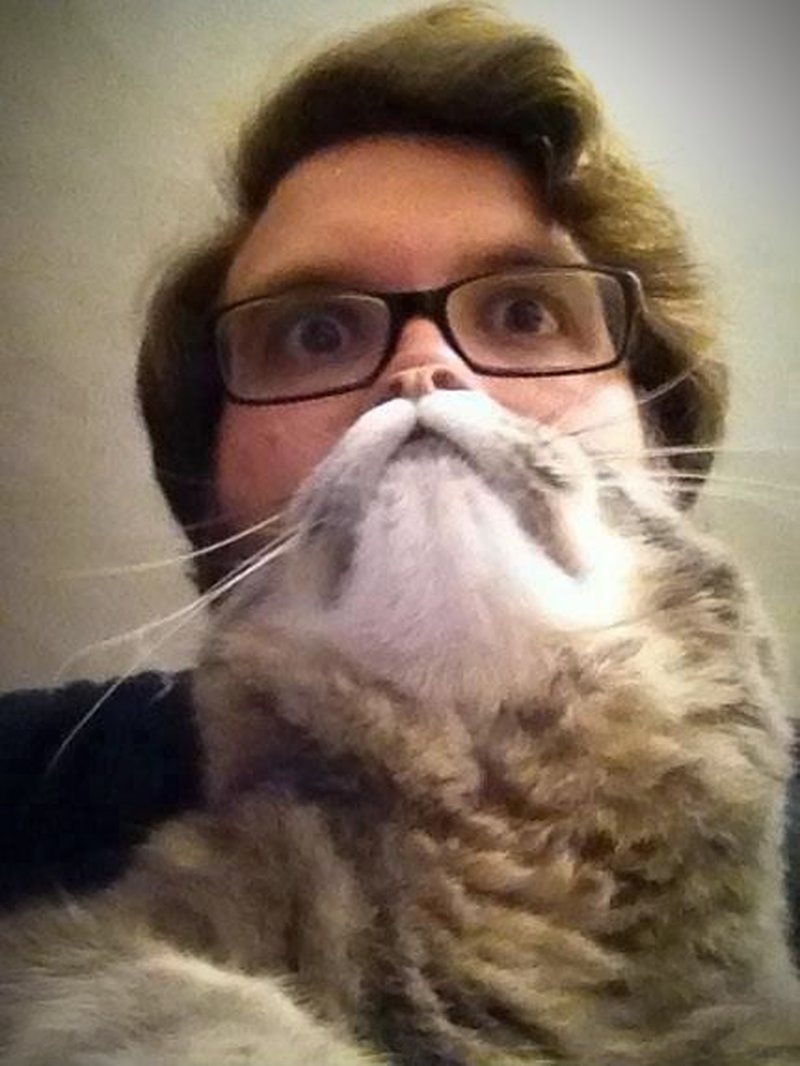 Ist das ein Bart? Nein, eine flauschige Katze. 